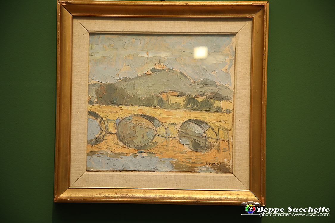 VBS_1344 - Castello di Miradolo - Mostra Oltre il giardino l'Abbecedario di paolo Pejrone.jpg